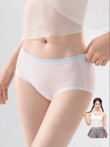 Secret World | Antibacterial Comfortable Womens Briefs
