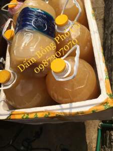 5 Lít Dấm Bỗng Nếp Cái Hoa Vàng