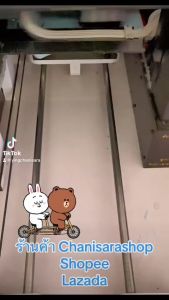 เสื้อยืดพิมพ์ลาย โคนี่บราวน์ Garden