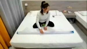 Foldable Mosquito Net Mosquito Net SINGLE QUEEN Door Mosquito Net Bed Mosquito Net Tent Mosquito Net