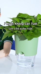 Chậu tự tưới A712 Monrovia thông minh tiện lợi trang trí không gian trong nhà nhiều màu sắc