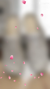 ด็อกเตอร์ฟุต รองเท้ายางปิดหัวสุภาพสตรี ยี่ห้อ dr.foot รุน 2210 ไซร์ 36-41