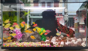 Bể cá thủy sinh thông minh Xiaomi Mijia MYG100 20L – Tự động bơm lọc nước cho cá ăn tự động