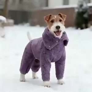 Teddy Magic | Quần Áo Chống Nóng Cho Chó