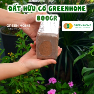 10 Viên Đất Trồng Cây GreenHome Viên Nén 800gr Trộn Sẵn Phân Bón Nở Gấp 5 Lần Trồng Rau Hoa