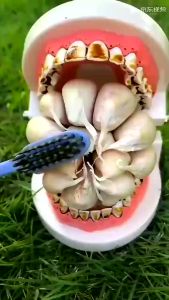 Membersihkan Karang Gigi Kuning dengan Pasta Gigi Penghilang Karang & Memutihkan Gigi