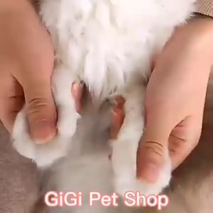 Bộ kìm kéo cắt móng chân kèm dũa size trung cho thú cưng chó mèo phù hợp chó lớn nhỏ phụ kiện giá rẻ - GiGi Pet Shop