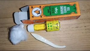 Obat Sakit Gigi Cap Burung Kakak Tua - Meredakan Sakit Gigi Berlubang Gusi Bengkak