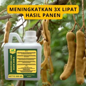 Pupuk Asam Jawa: Meningkatkan Pertumbuhan Tanaman