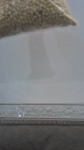 (AQS) Kacang Arab Super Premium Chickpeas 1 kg 500 gr