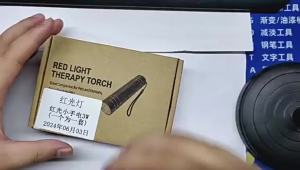 Red Light Therapy Lamp 660nm Red Light & 850nm Infrared Lamp Therapy Torch with Timer Portable LED Small Torch Body Pain Relief