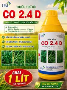 Thuốc trừ cỏ CO 24D ( chai 1lít ) Dạng bột lưu dẫn Trừ cỏ lá láng lá rộng Cỏ trong lúa Thân gỗ Cứng Đầu Cỏ Lâu Năm.