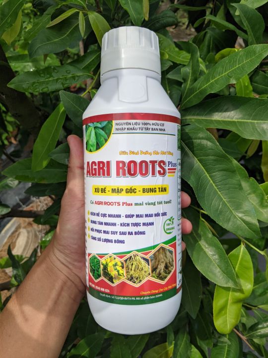 Agri Roots Plus phân bón siêu kích rễ - bung tàn - mập thân chai 1 lít ...