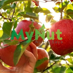 MYNUT CUKA APEL PAKET 1 LITER & 2 BOTOL 500 ML - PAKET SUPER HEMAT APPLE CIDER VINEGAR - 100% ASLI PRODUK HERBAL PREMIUM QUALITY