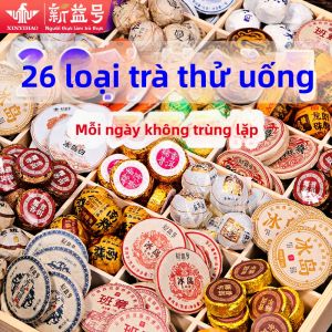 XINYIHAO | Multi-flavor Pu-erh and White Tea Blind Box