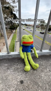 45cm Sad Frog Plush Toy Soft Stuffed Pillow Magic Expression Pepe The Sad Frog Animal Plush Doll