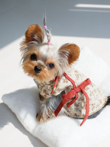 New Chinese Style Pure Cotton Dress Picnic Small Basket Cat Dog Clothes Princess Style One-Piece Skirt for Pets Spring Autumn