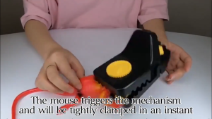 【BUY 1 TAKE 2】Upgraded Large Mouse Rat Traps - Safety High Sensitive Snap Big Plastic Mouse Trap Rodent Catcher Reusable Rat Trap Catching Mice Mouse Mousetrap Spring Rodent Trap-Easy Catcher Pest Plastic Reusable Home Mice Snap Trap