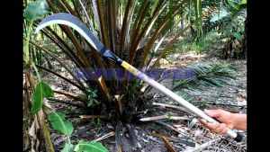 มีดขอลา ใบมีดโค้งปลายแหลม มีดพร้า เหล็กกล้า สําหรับตัดชักตัดกิ่งไม้ ด้ามเหล็ก ขนาดความยาว 26.7 นิ้ว และ 33 นิ้ว