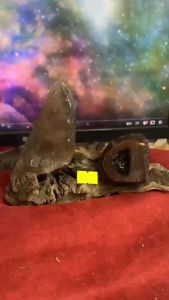 Trụ đá Thạch Anh khói Smoke Quartz kèm hoc mã não kỳ quái sưu tầm nhà ở năng lượng mã số 25