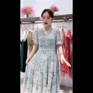 Y&HE V-neck cake skirt short sleeved chiffon skirt printed dress.