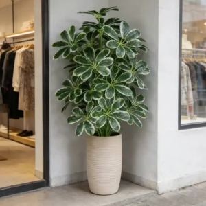 50-75cm Artifficial Maranta Plants Large Fake Palm Tree Plastic Monstera Leaves Tropical Plant For Home Office Wedding Decor