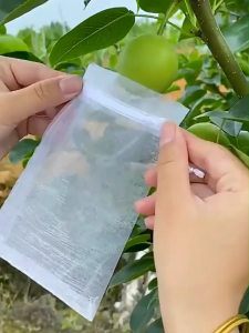 ถุงผลไม้ ถุงตาข่ายป้องกันนก ถุงป้องกันแมลง อิงต้นไม้ผลไม้ องุ่น พีช ถุงป้องกันสตรอเบอร์รี่ การปลูกบินผลไม้