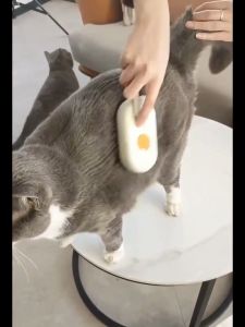 HATELI Mèo Hơi Nước Bàn Chải Ướt Bàn Chải Chó Điện 3 Trong 1 Xịt Cát Tẩy Lông Bàn Chải Massage Tắm Cho Thú Cưng lược Bàn Chải