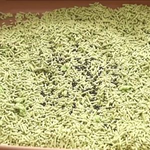 【 Ready Stock 】 Cat Litter Deodorant Beads Activated Charcoal Cat Toilet Deodorizer Penghilang Bau Pasir Kucing 猫砂除臭珠