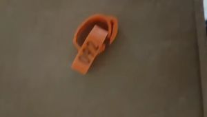 100pcs No.001-100 Chicken Foot Ring Adjustable Pigeons Digital Foot Ring Inner Diameter 1.8cm-2.6cm