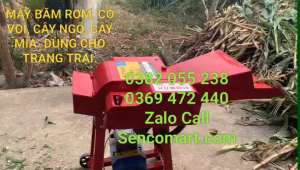 Máy băm cỏ voi có núm điều chình dài ngắn motor 4hp - 3kw