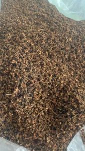 Hạt mắc khén Tây Bắc ba cánh loại 1 (sạch thơm) Đặc sản gia vị mắc khén hạt dổi chẩm chéo hạt mắc kén hạt dổi nếp