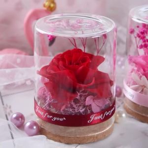2sql 1 Chiếc Hoa Hồng Quà Tặng Hoa Thật Trang Trí Vĩnh Cửu Trong Thủy Tinh Ngày Lễ Tình Nhân Hoa Khô Tự Làm Ngày Của Mẹ