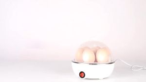 Multifunctional Electric Steamer 3 Layer stainless Tray Egg Boiler Cooker Steamer Siopao Siomai KMV Trading