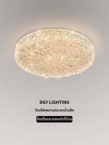 DGY | Resin Ice Crack Bedroom Ceiling Light