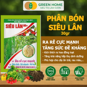 5 Gói Phân Bón Lá Greenhome Siêu Lân 60+ Gói 30gr Phát Triển Rễ Tạo Mầm Hoa Kích Ra Hoa