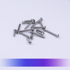Screw Pan Head Self Tapping Screw ST2.9 / ST3.5 / ST4.2 / ST4.8 / ST5.5 304 Stainless Steel Screw Plastic Wood DIY