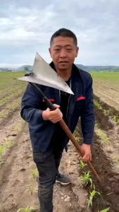 Cangkul Baja Segitiga Tanpa Gagang – Anti Karat & Kuat untuk Sawah & Kebun