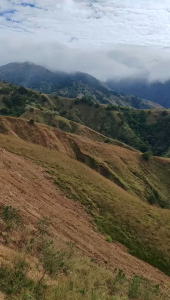 ZB BRAND comfortable FARMING CLOTHES