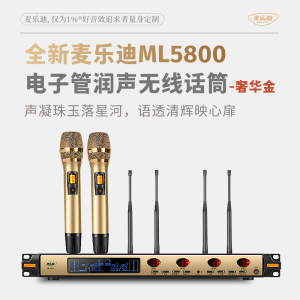 Wireless Electronic Tube Mic ML5800 Home K-Song Professional Family KTV One Drag Two Handheld Microphone with 3.5mm Interface