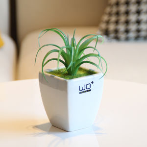 High-Realism Ceramic Plant Pots for Succulent Plants Nordic Style Decorative Accessories for Bookshelves And Washstands