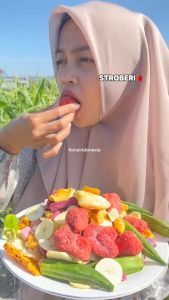 FIONA Keripik Buah dan Sayur Mix 350 gram - Okra Wortel Apel Salak Pisang