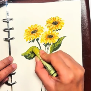 สีชอล์ค น้ำมัน เกรดอาร์ทติส Soft Oil Pastel จำนวน 12สี/24สี/ 36สี/ 48สี สีอ่อนและสด ใสปลอดสารพิษพาสน้ำมันเหมาะ