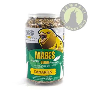 Pakan Burung Kenari Solusi Atasi Mabung