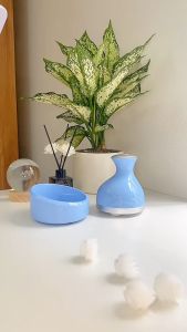 Máy massage đầu đa năng tự động 4 móng vuốt mèo cầm tay gọn nhẹ