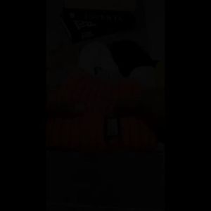 RUIMO Topi Kupluk Special Bulu-Bulu Halus Wanita Hats - Model Terbaru D-16 Aksesoris