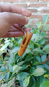 PIPA ONCE MINI KAYU KELOR EMAS SIBOLONG MULTI AKSESORIS GANTUNGAN KUNCI