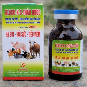 Chai Gluco KC Thảo Dược Bồi Bổ Cơ Thể Trợ Sức Trợ Lực Phục Hồi Sức Khỏe Nhanh Chóng Cho Gà Đá Và Thú Cưng
