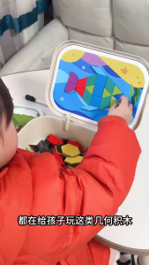 NIKO 250PCS Magnetic Tangram Puzzle Set for Kids with 96 Challenge Cards Drawing Board Educational Geometry Toy and Portable Storage Box
