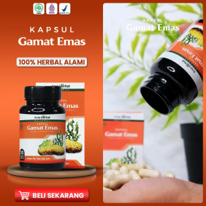 Kapsul Gamat Emas 100% Original Multi Khasiat Ekstrak Teripang Emas Legalitas BPOM dan HALAL MUI